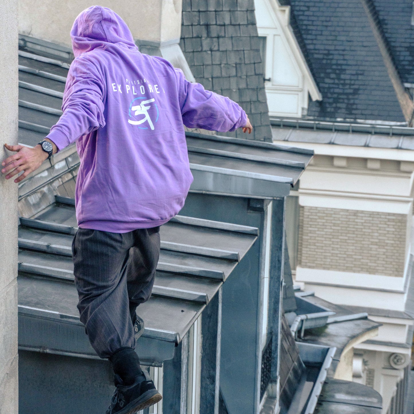 PULL ROSE "3F"