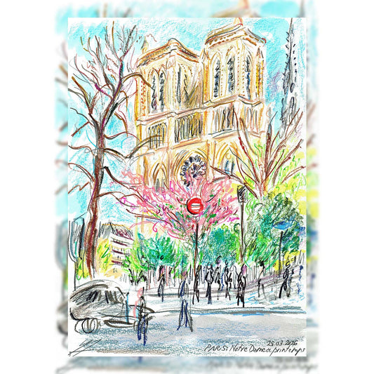PARIS NOTRE DAME AU PRINTEMPS
